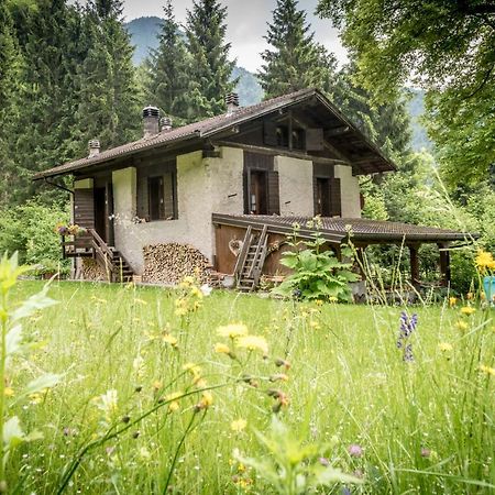 Chalet Silenthia Villa Lenzumo di Concei Bagian luar foto